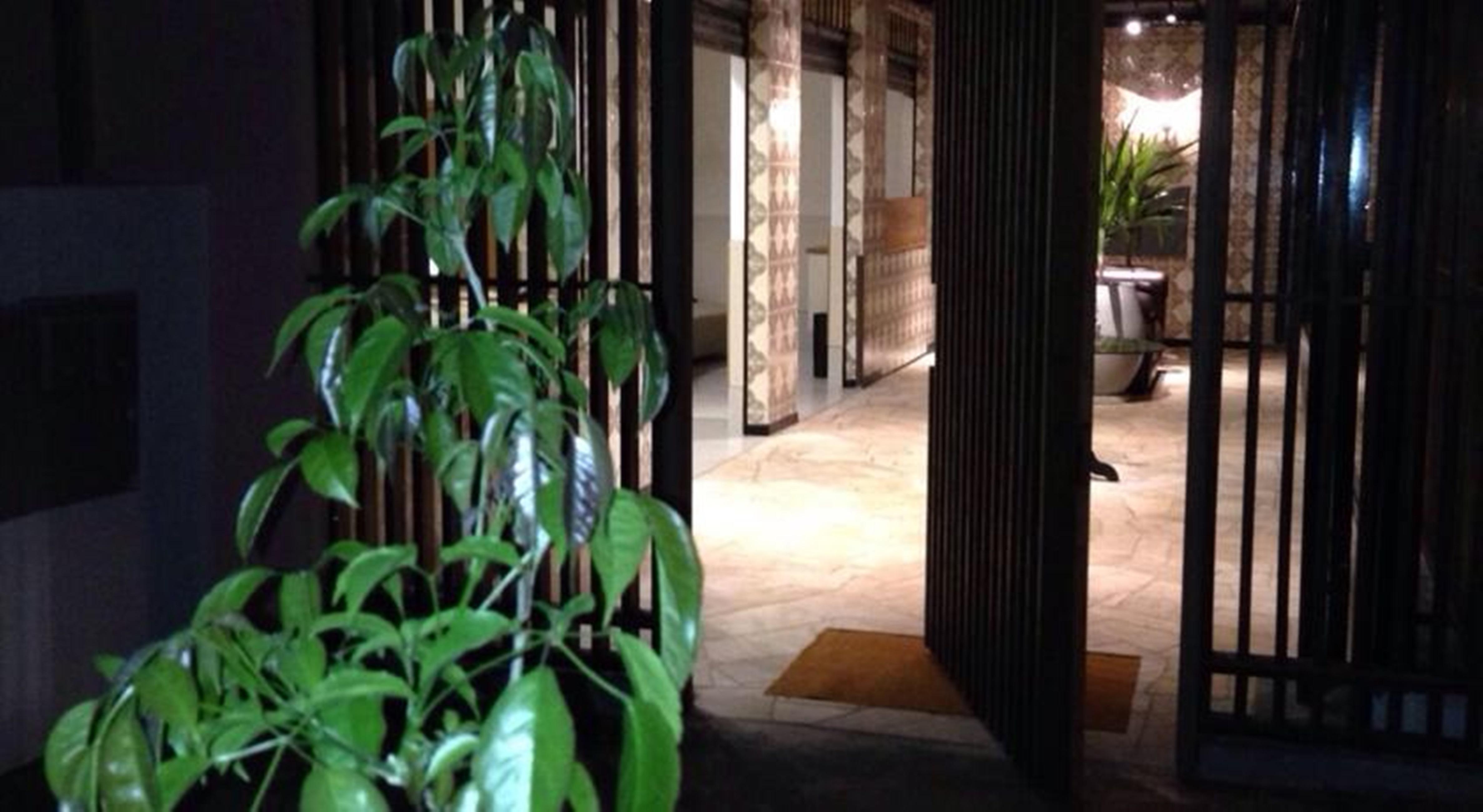 Vespasiano Hotel Telêmaco Borba 外观 照片